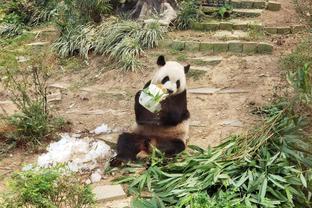 时机不对？英格拉姆复出后鹈鹕遭关键两连败都是输湖人 此前4连胜